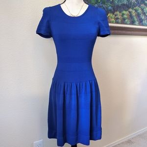 J.McLaughlin cobalt blue knit striped skaker dress